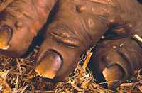 Puppenbau-Hand des Fressmonsters