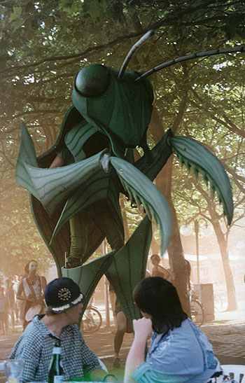 Puppenbau-Gottesanbeterin whrend einer Strassenaktion