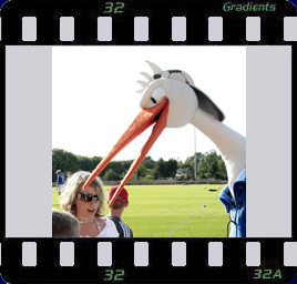 Vorschau und Weiterleitung Holstein-Storch